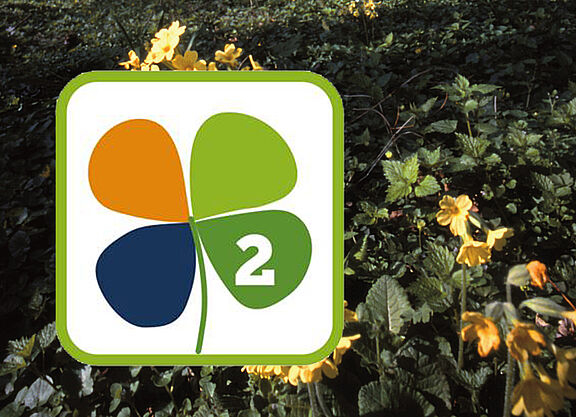 Kleeblatt-Logo Tour 2 Kleeblatt-Logo Tour 2