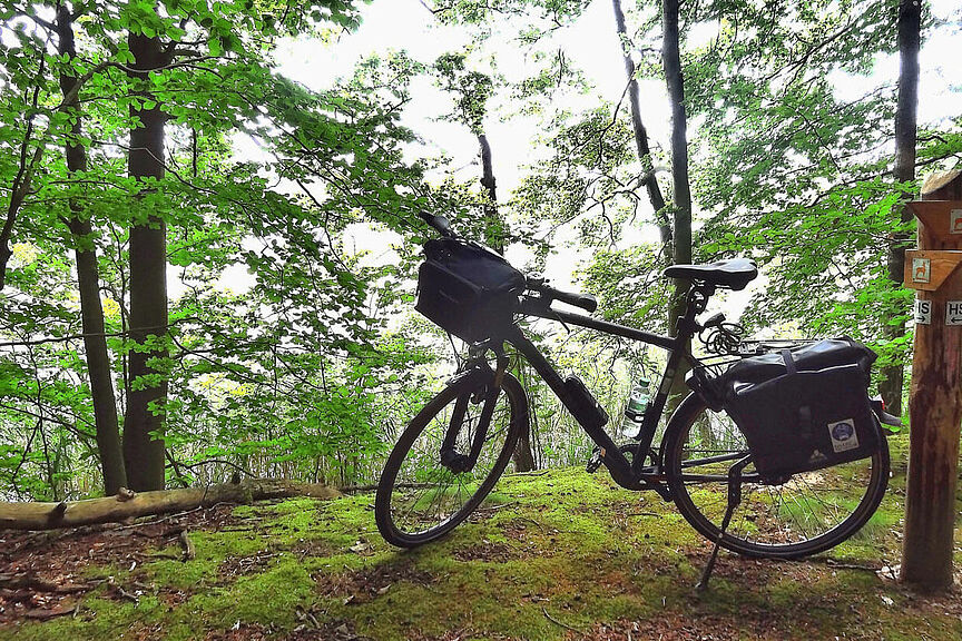 Naturerlebnis Fahrradfahren Naturerlebnis Fahrradfahren
